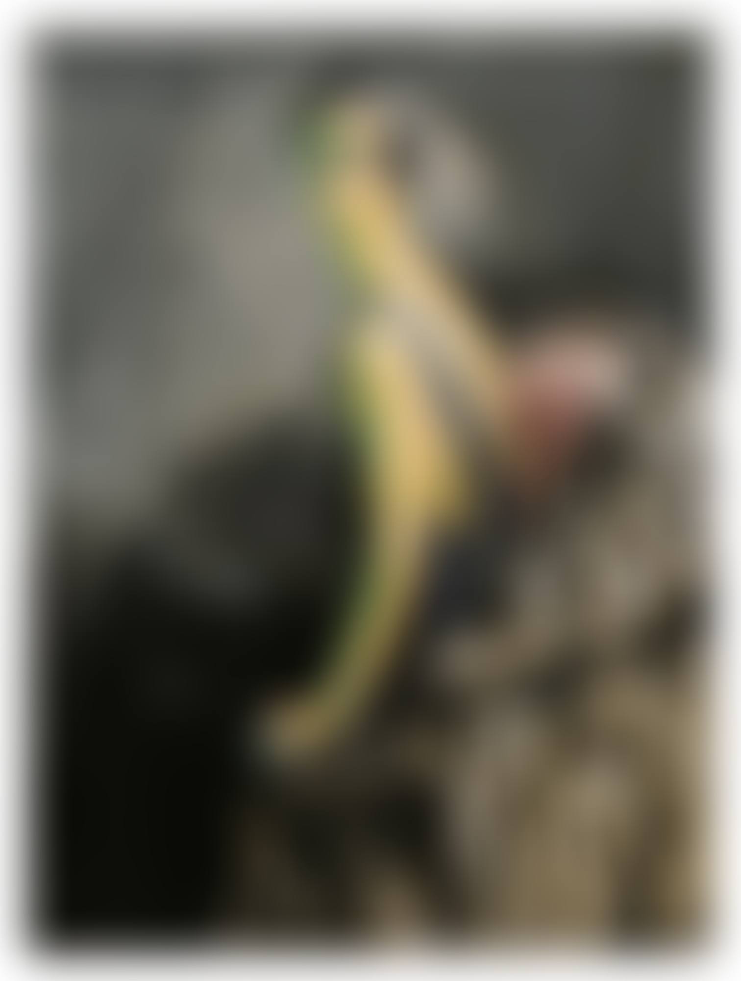 PORTRAIT DE FEMME ASSISE (preview)
