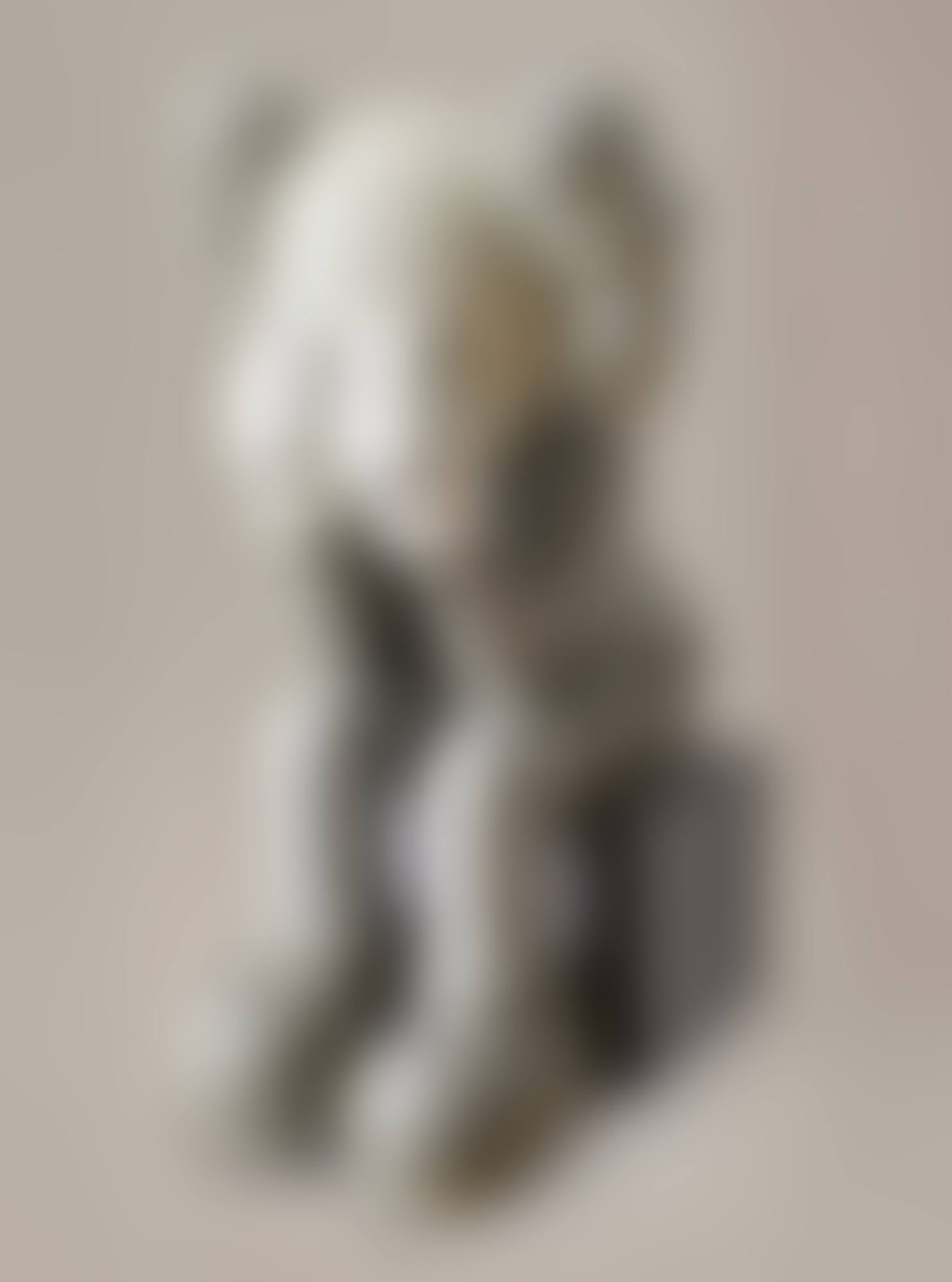 COMPANION (PASSING THROUGH) (preview)