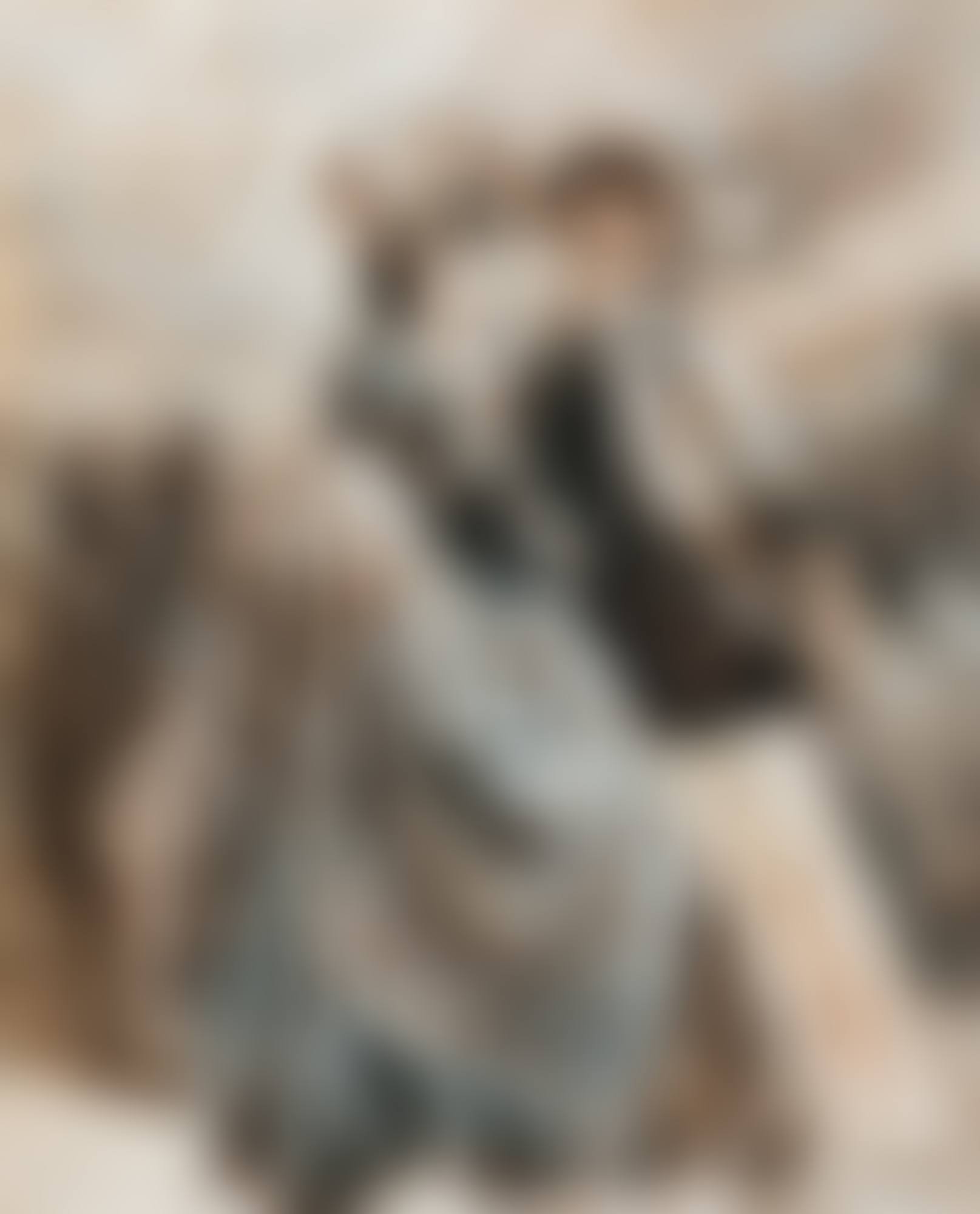AT THE PROMENOIR (preview)