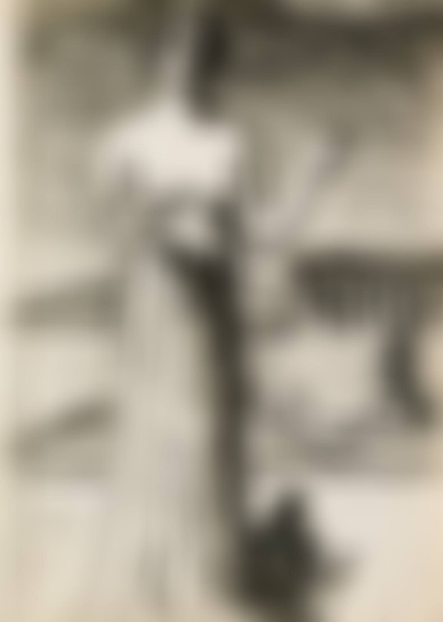 ETUDE POUR  LE VIOL (preview)