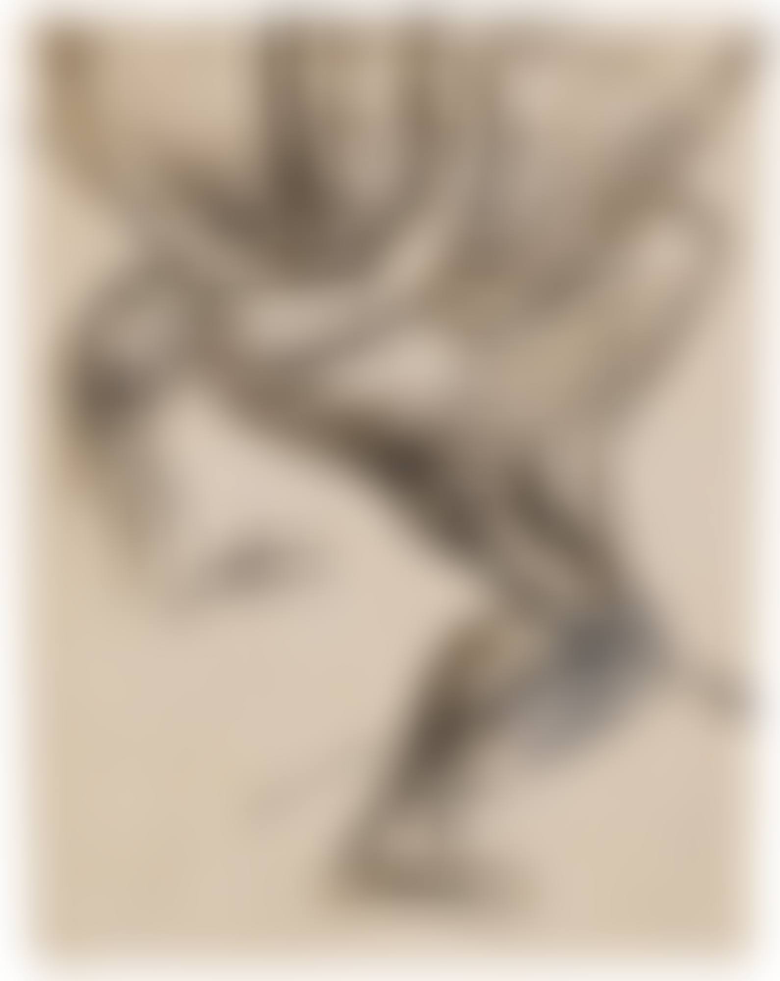 ATLAS (RECTO - VERSO) (preview)