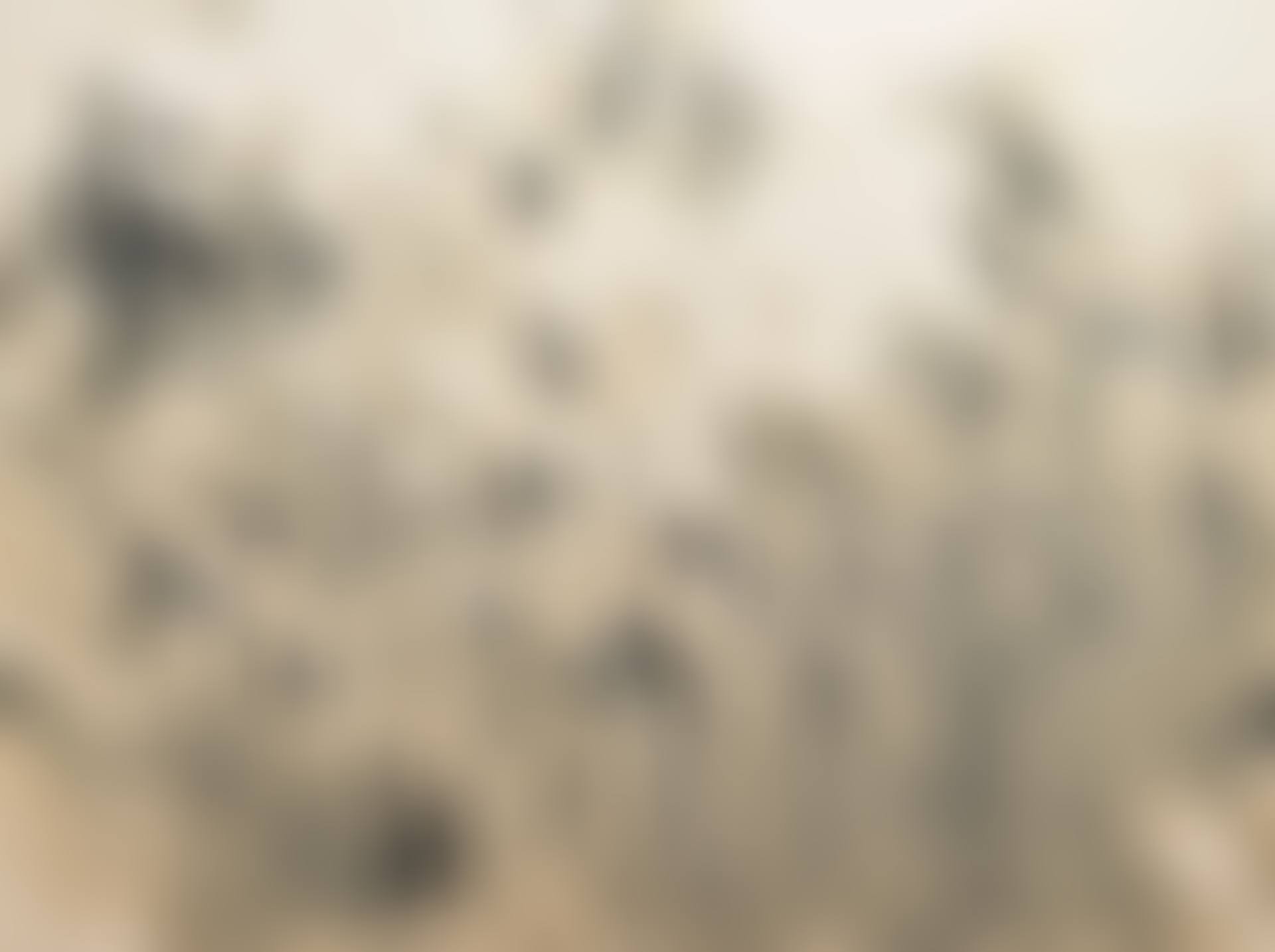 WITH WINDS (preview)