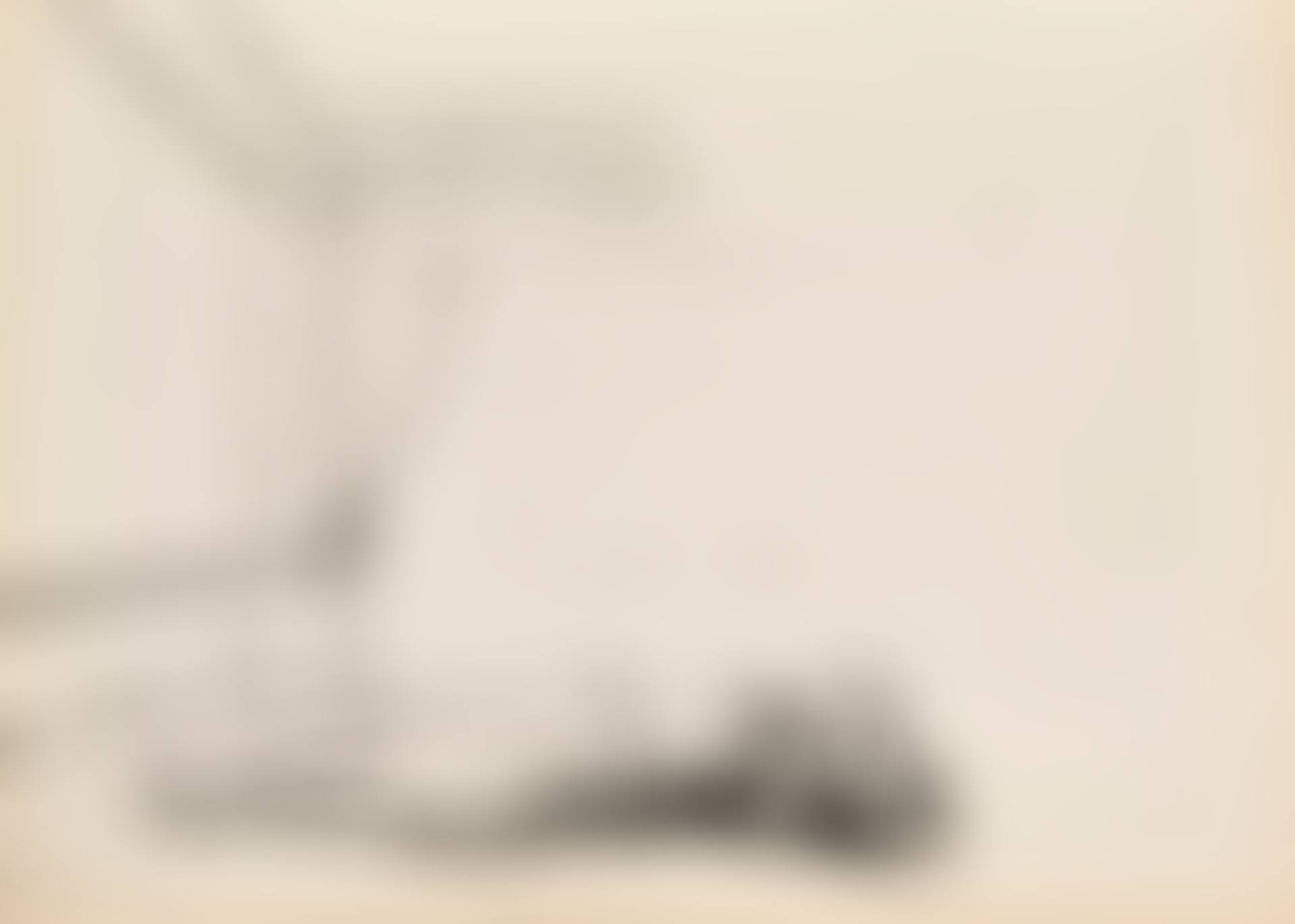 ETUDE POUR  LE VIOL (preview)