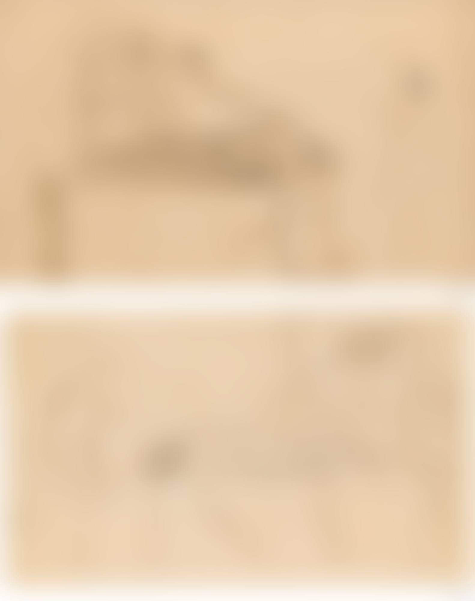LE COMTE GUIDON DE ORESTE? (RECTO - VERSO) (preview)