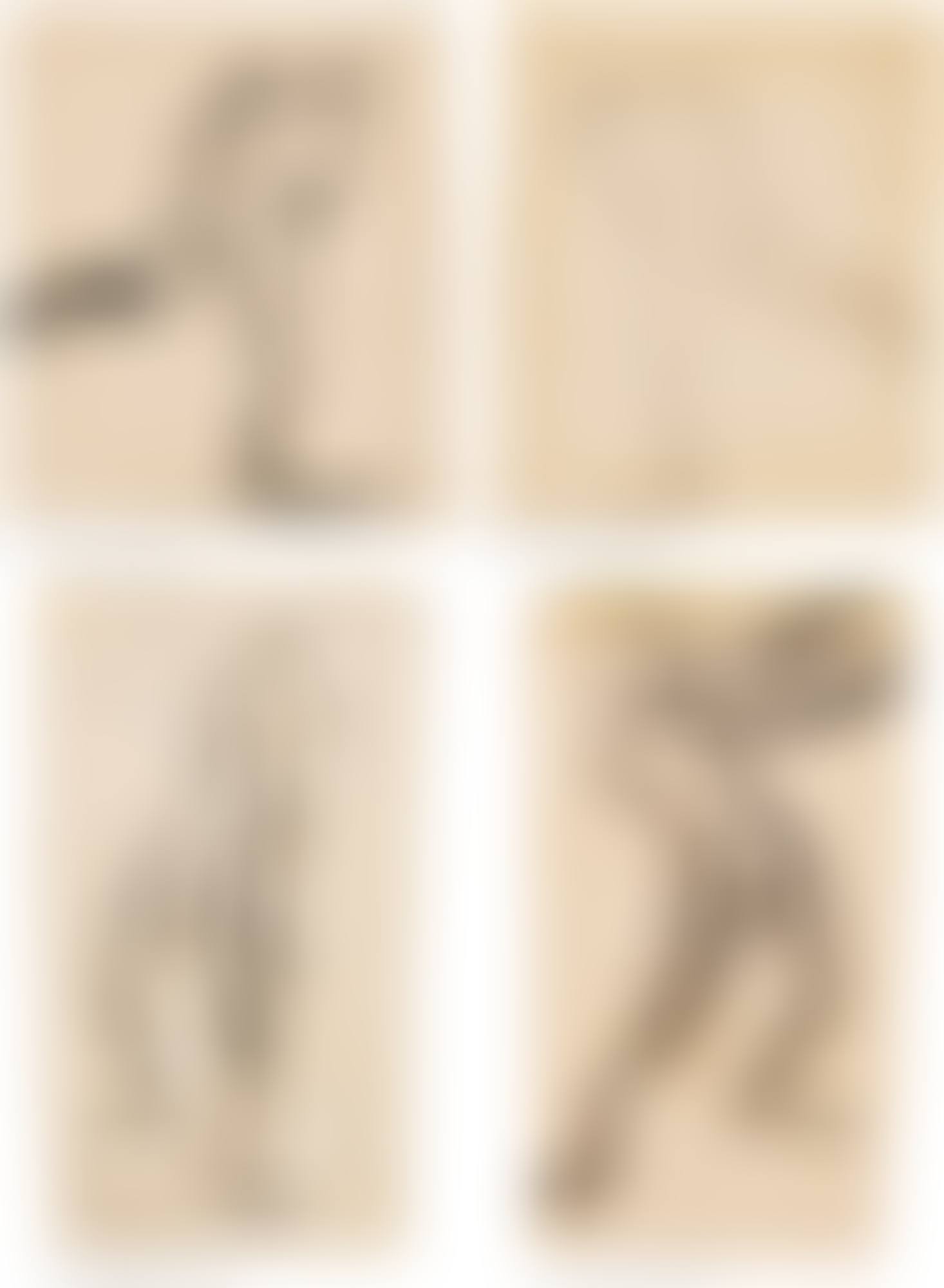 (I) COUREUR COURBÉ VERS LA DROITE, UN PIED EN L'AIR - ETUDE DE PATINEUR SUR GLACE? (RECTO - VERSO); (II) HOMME NU DE DOS, LE BRAS GAUCHE DRESSÉ ET LA JAMBE GAUCHE POSÉE SUR UN SOCLE (RECTO - VERSO) (preview)