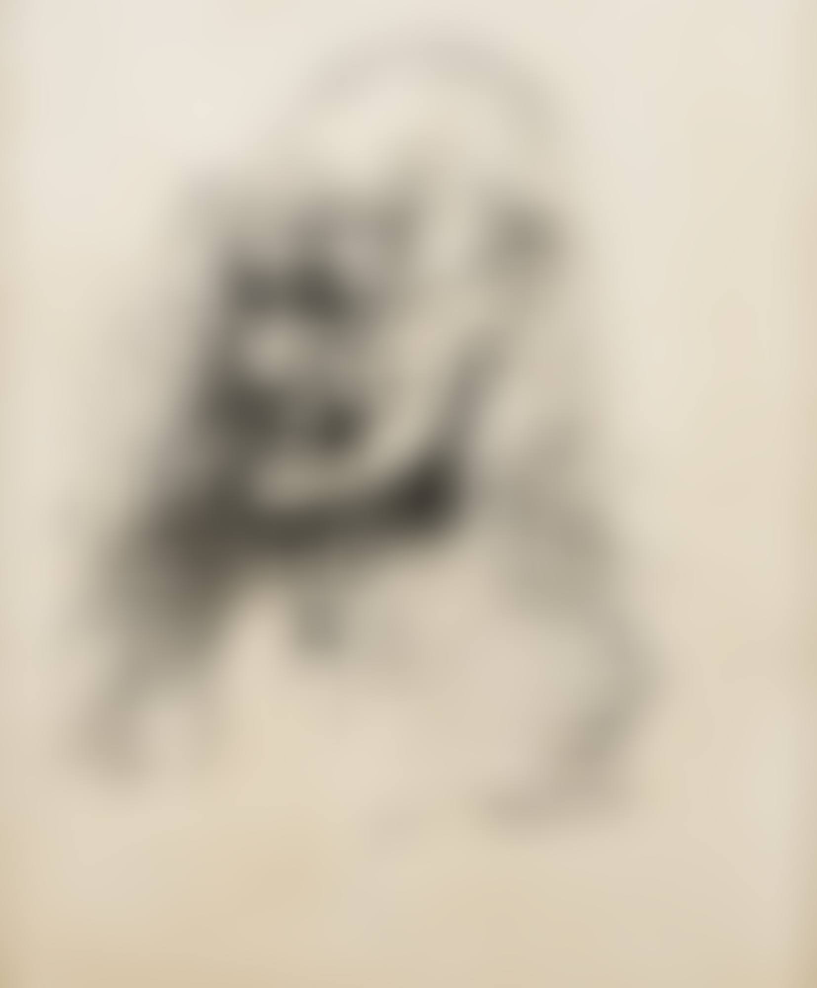 PORTRAIT DE FREUD (RECTO VERSO) (preview)