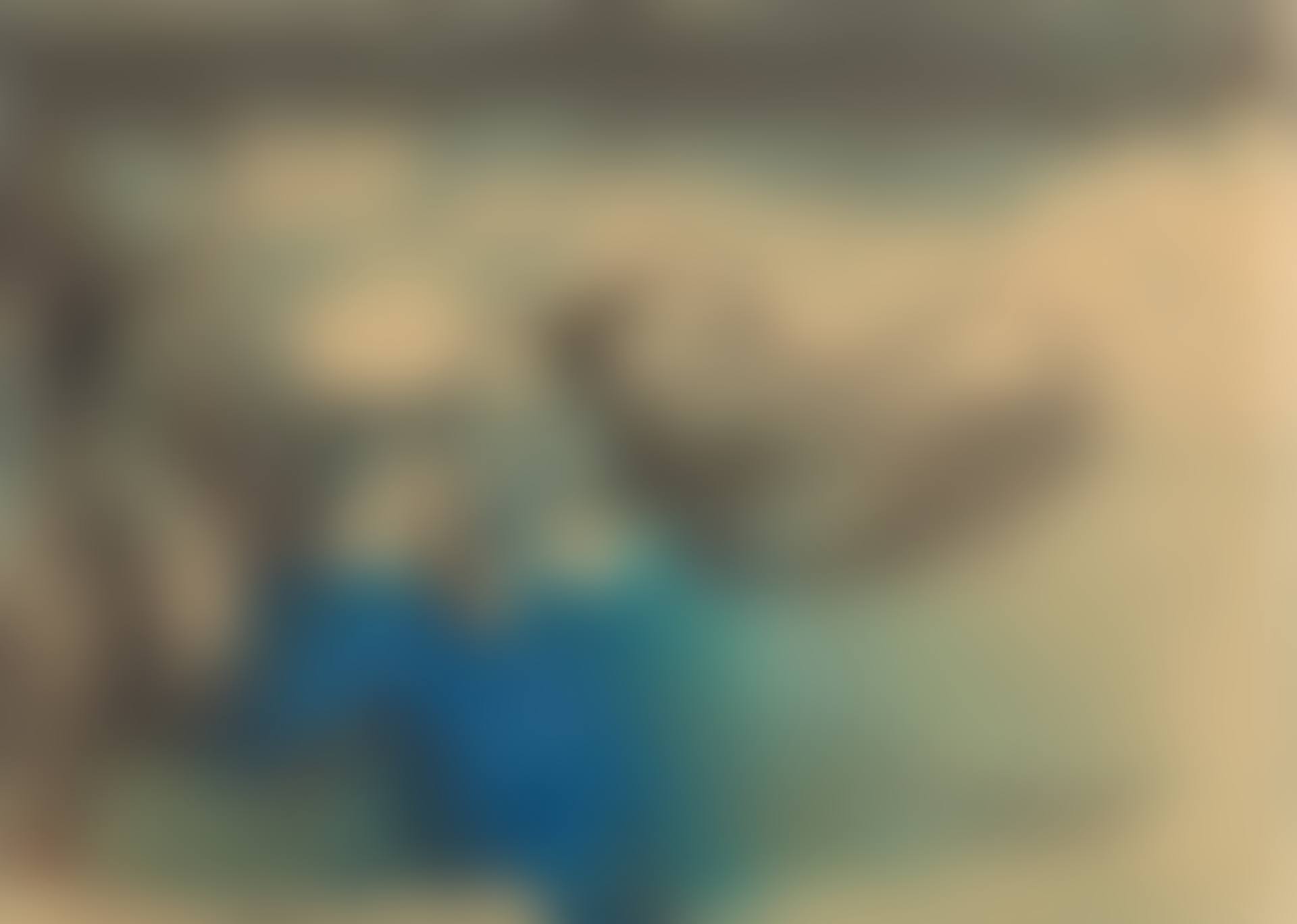MOUNTAINS IN MORNING HAZE (preview)