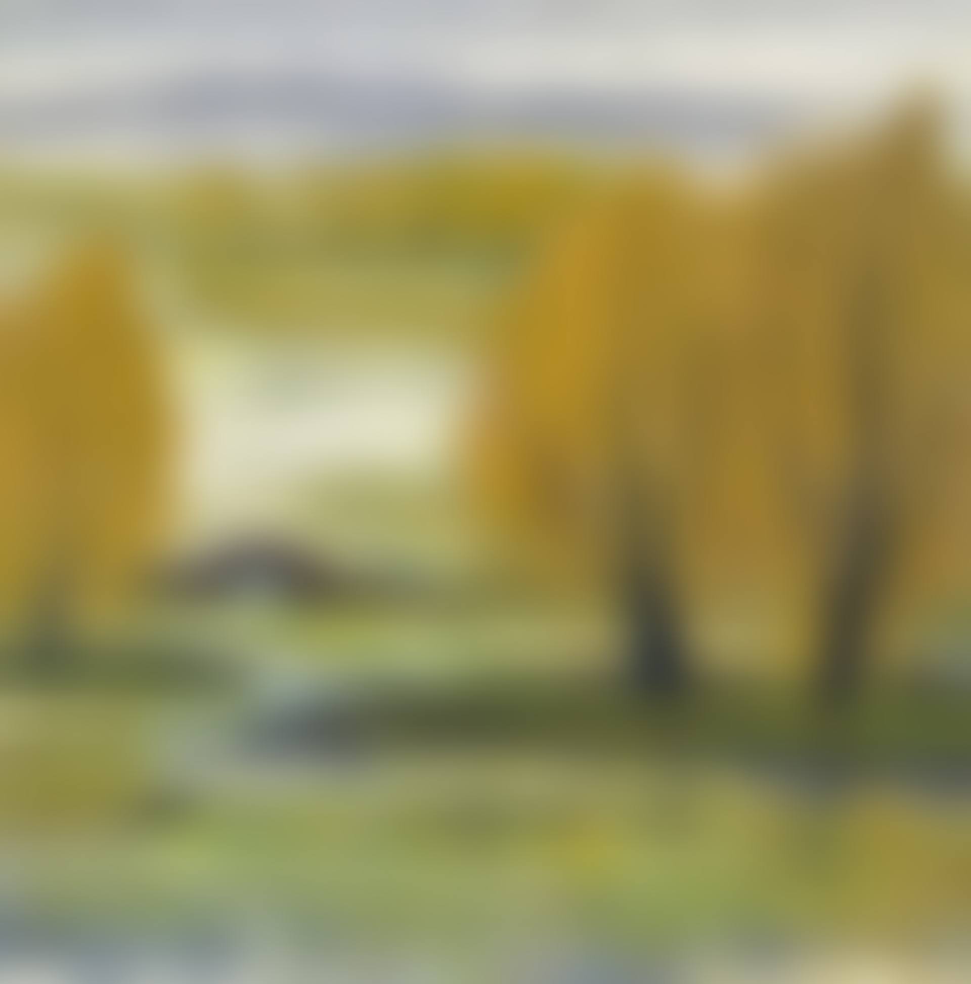 WILD GOOSE OVER AUTUMN POND (preview)