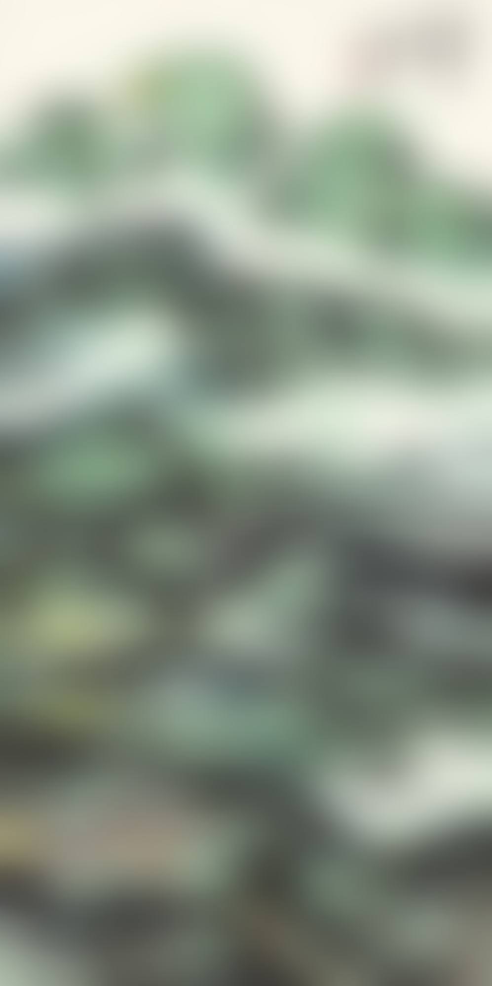 VILLAGE IN LUSH MOUNTAINS (preview)