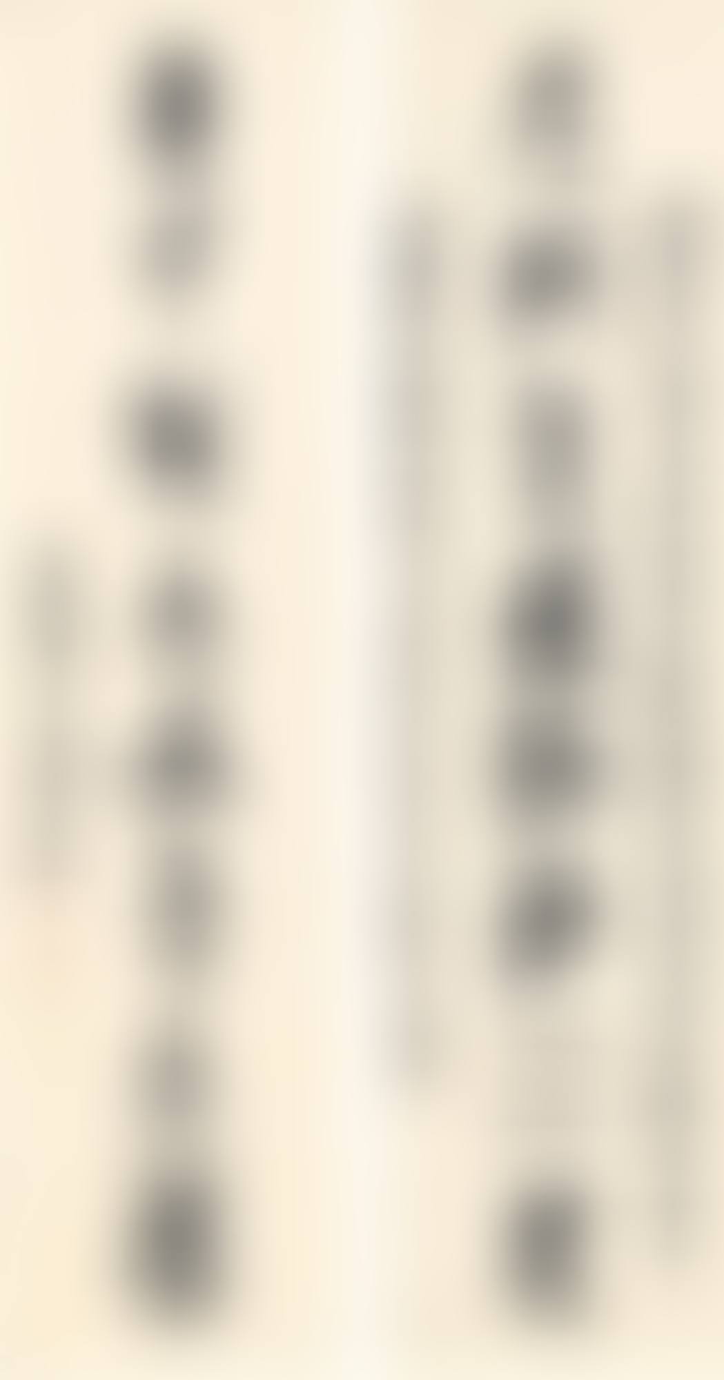 CALLIGRAPHY COUPLET IN ZHUANSHU (preview)
