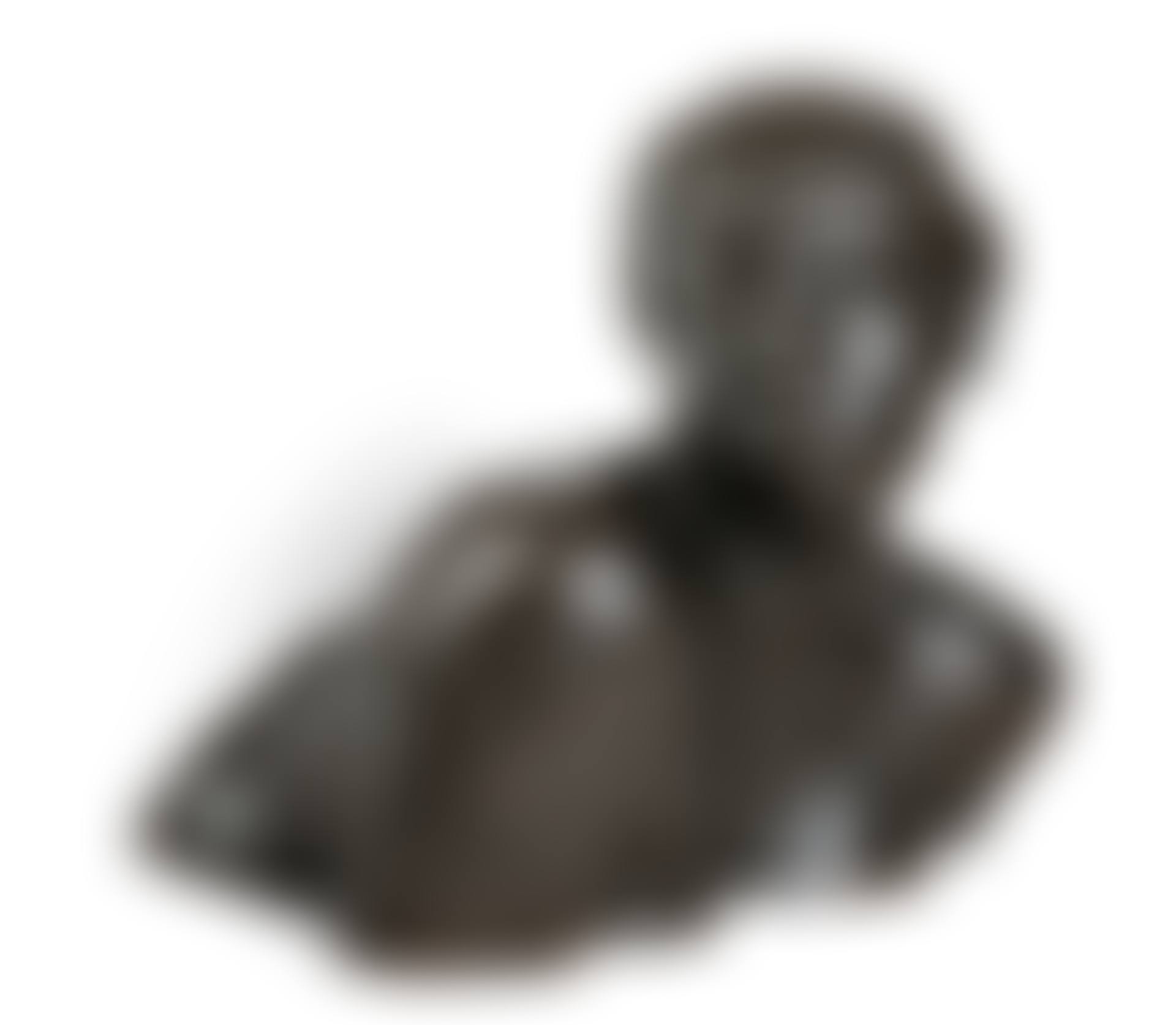 CONTEMPLATION OU BUSTE DE FEMME: EN CONTEMPLATION (preview)