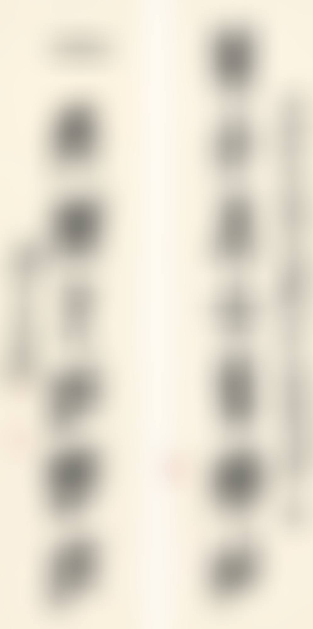 CALLIGRAPHY COUPLET IN ZHUANSHU (preview)