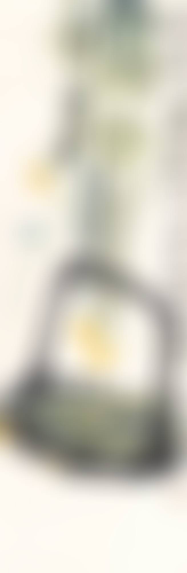 TOWEL GOURDS AND CRICKET (preview)