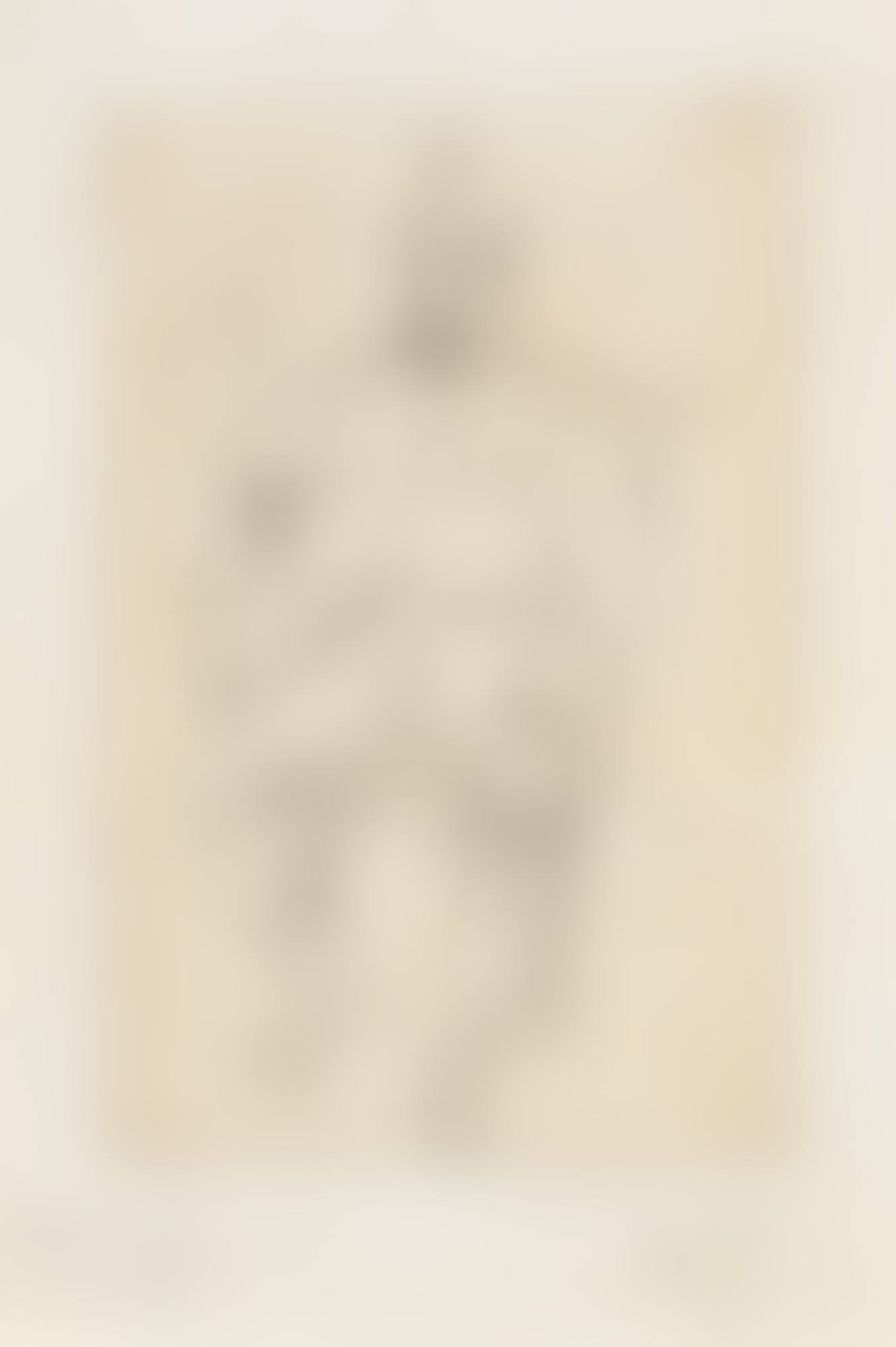 PORTRAIT D'APOLLINAIRE EN UNIFORME (preview)