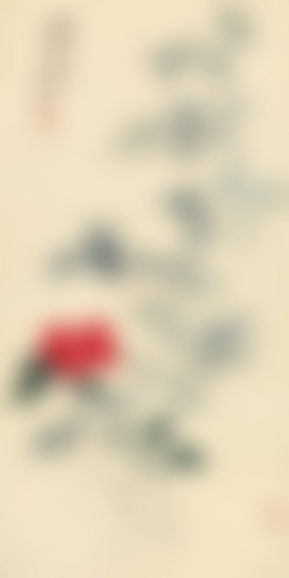 CAMELLIA BY THE BAMBOO (preview)