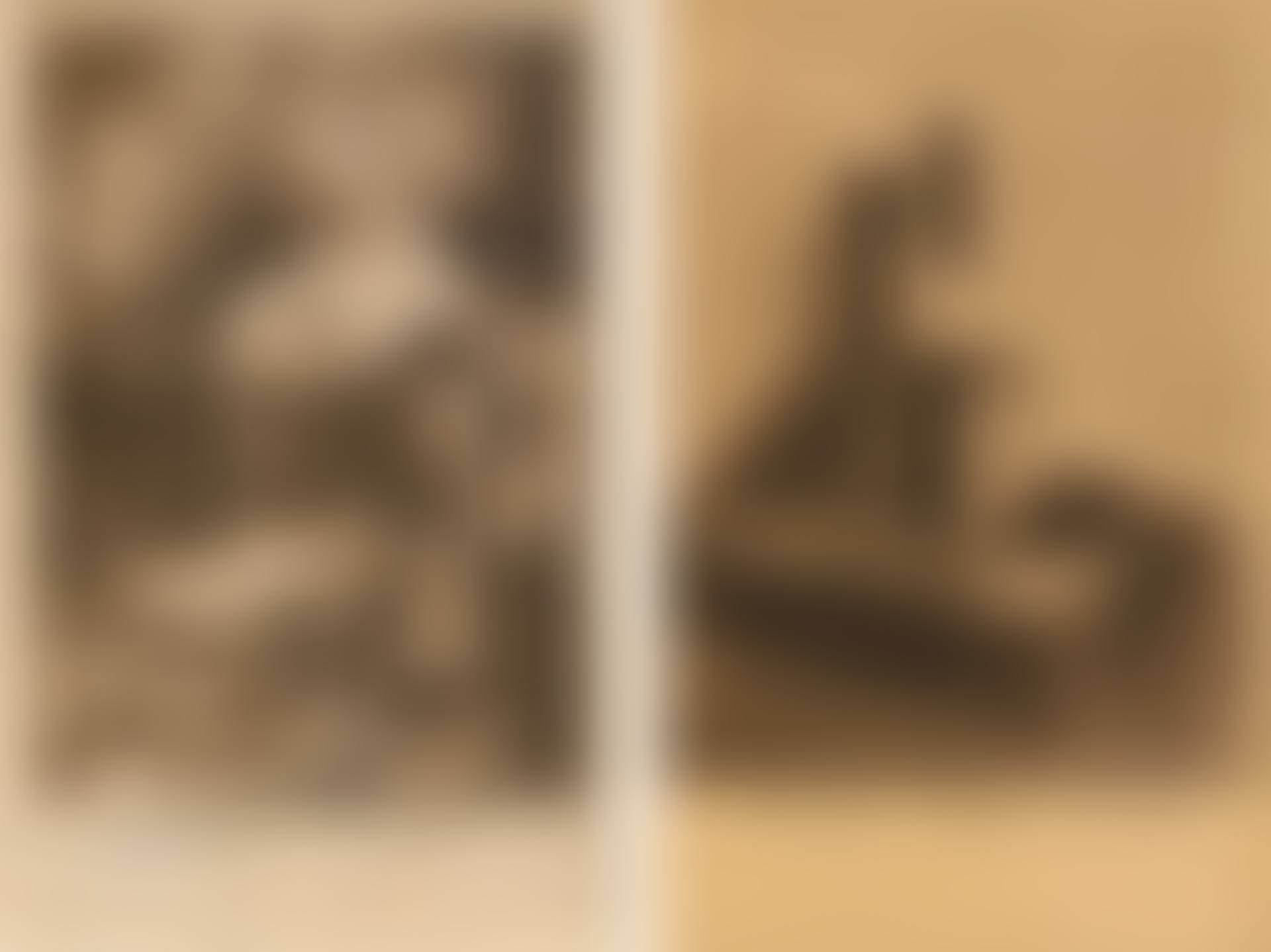 (I) DAS MERZBILD (II) VERALTET (preview)