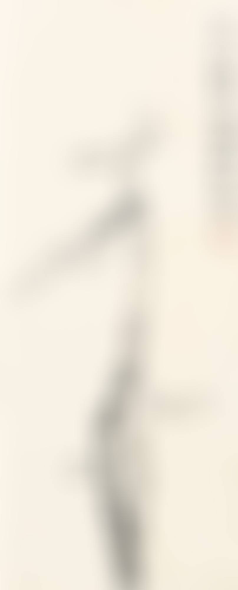 PLUM BLOSSOMS (preview)