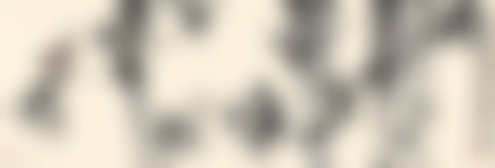 BIRD PERCHING ON BAMBOO BRANCHES (preview)