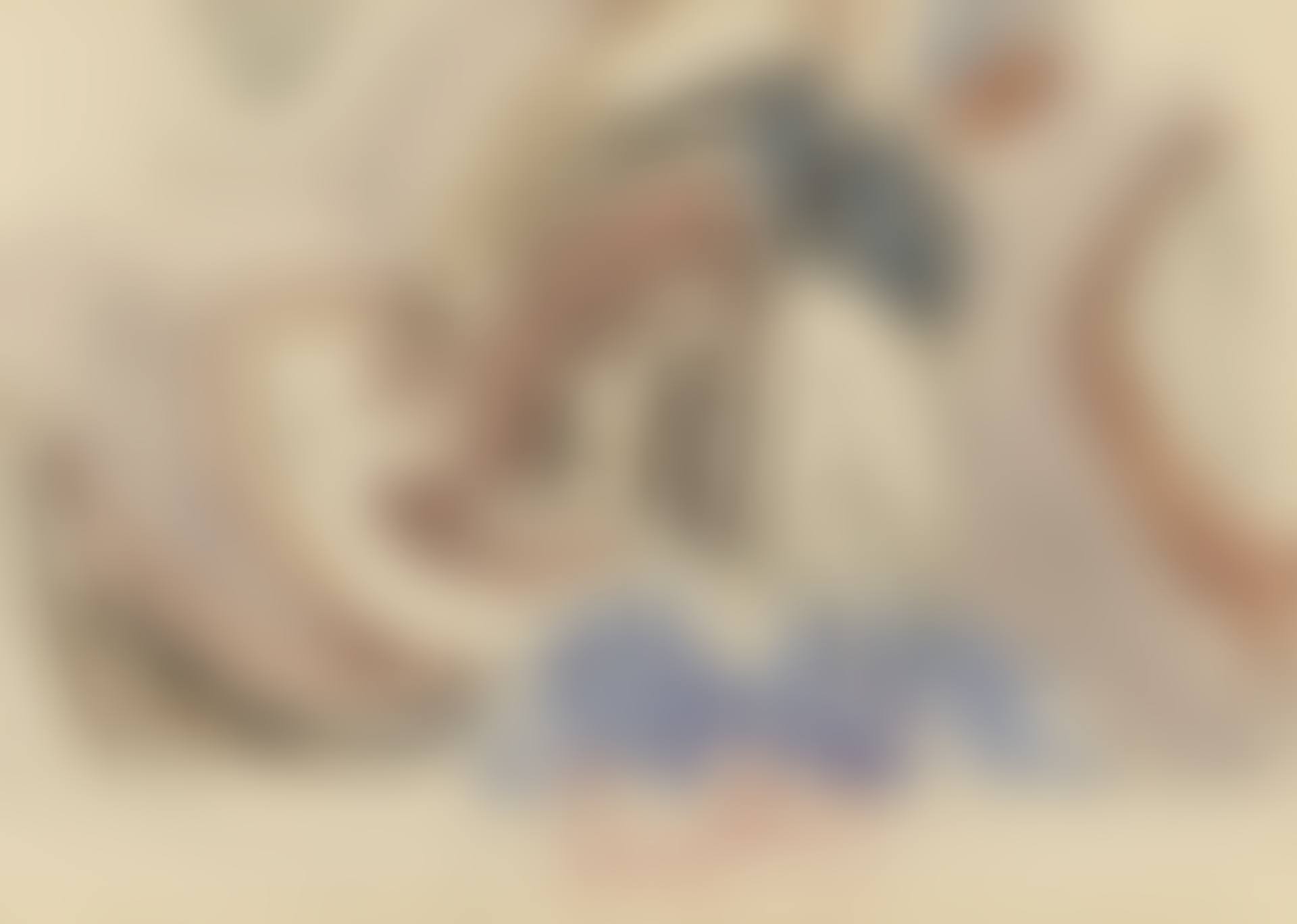 COMPOSITION (preview)