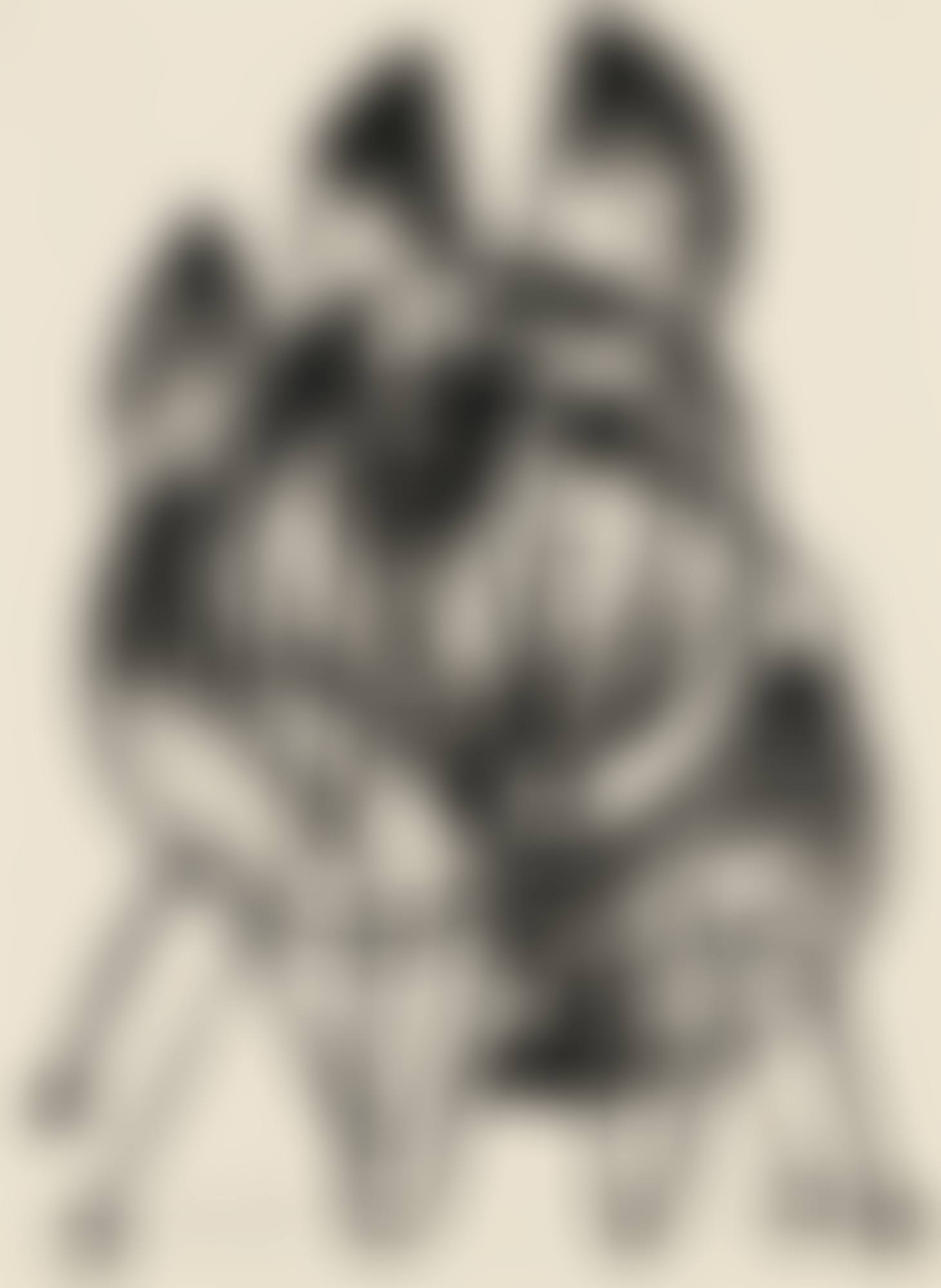 UNTITLED (preview)