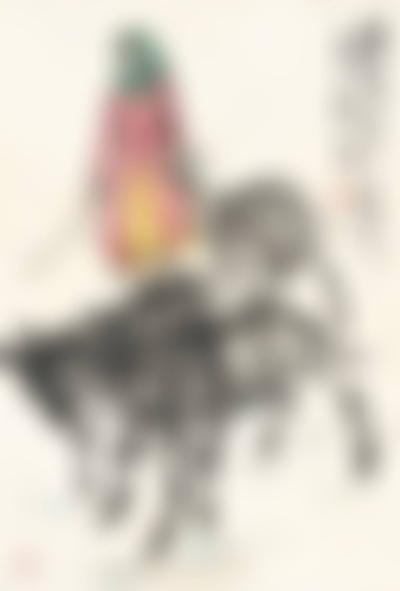 GIRL HERDING DONKEYS (preview)
