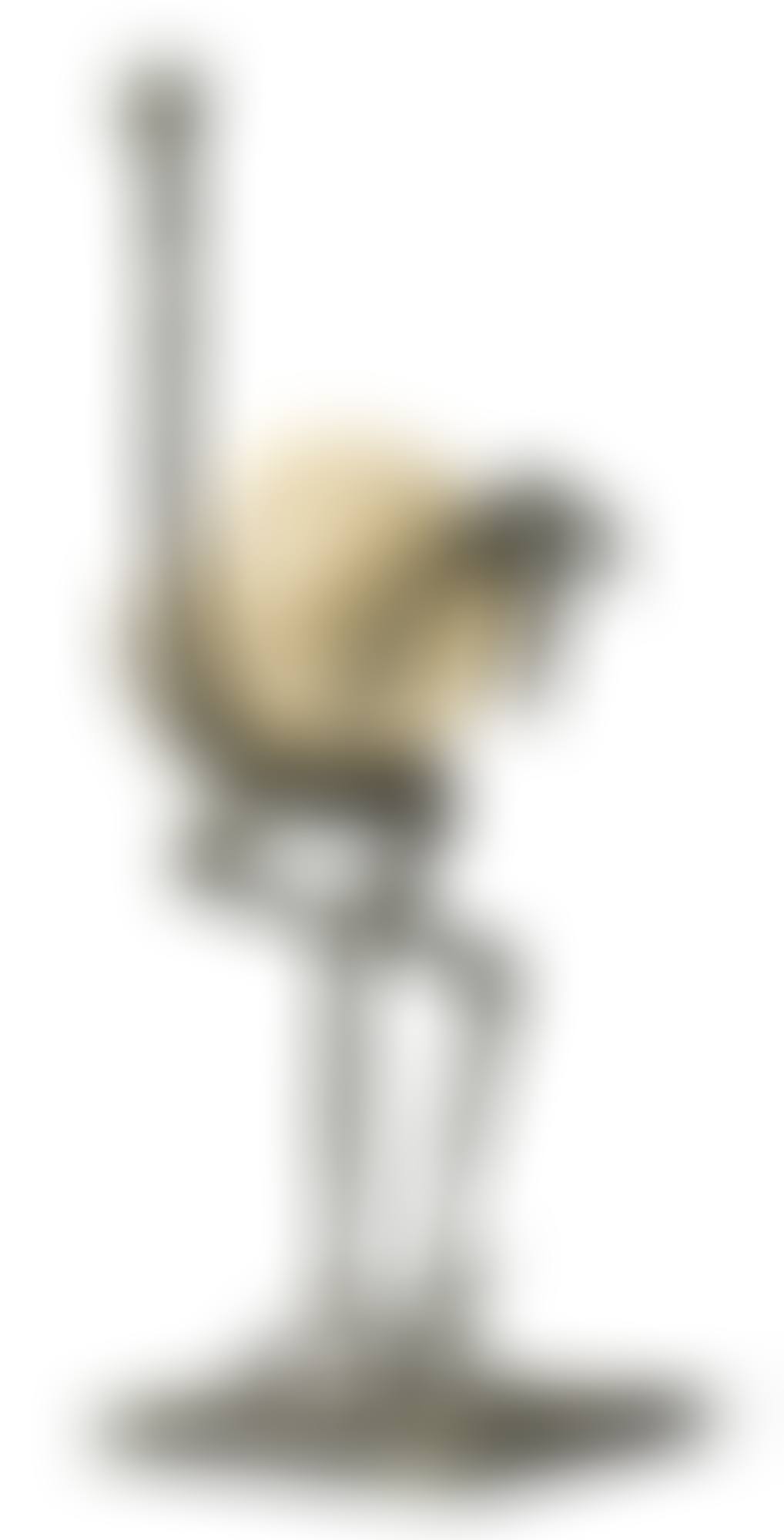 AUTRUCHE (preview)