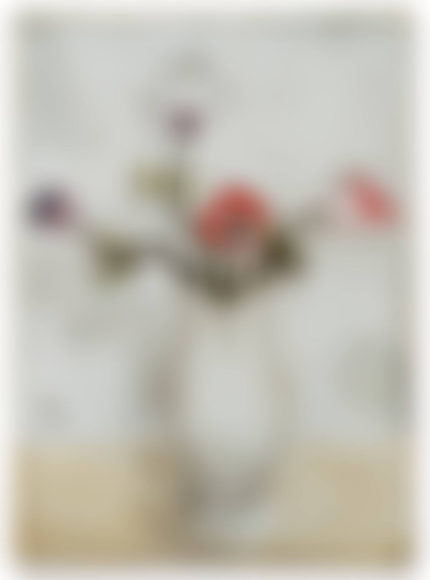 NATURE MORTE AUX ANÉMONES (preview)