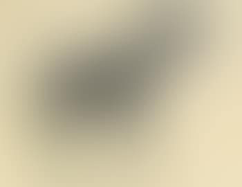 Composition with animals ,
1953 (preview)