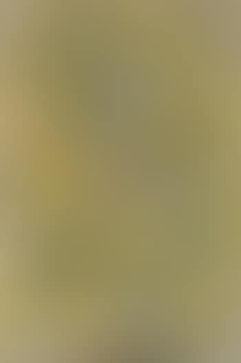 Utan titel , (preview)