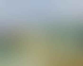 Chevaux en Camargue , (preview)