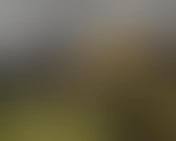 Crib Goch from Deiniolen , (preview)