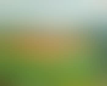 Landschaft ,
1914 (preview)