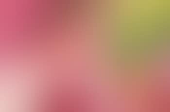 Lady at a Table , (preview)