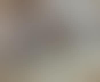 Paysage de neige , (preview)