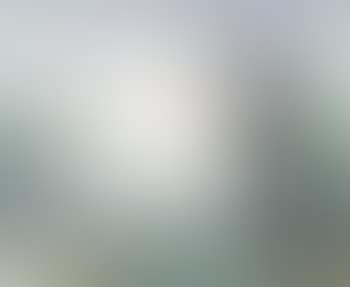 Egret in the reeds , (preview)