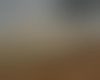 Landscape , (preview)