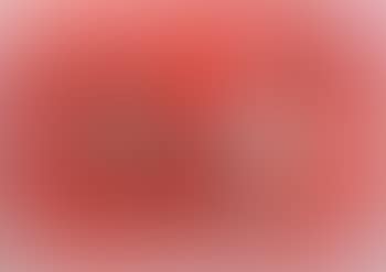 Two nudes , (preview)