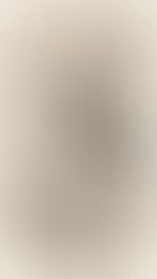 Bamboo ,
1765 (preview)