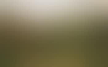 Landscape , (preview)