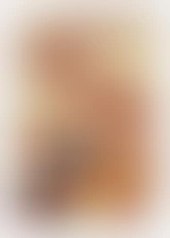Beaucoup de soucoupes volantes , (preview)