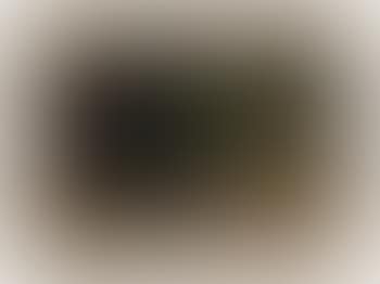 Abstract , (preview)