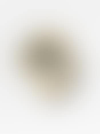 Untitled ,
2000 (preview)