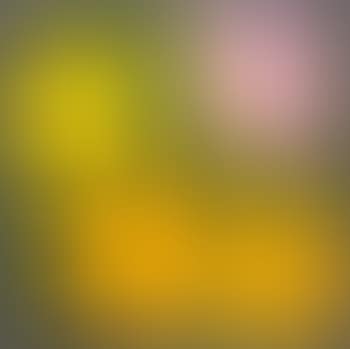 Flowers ,
1970 (preview)
