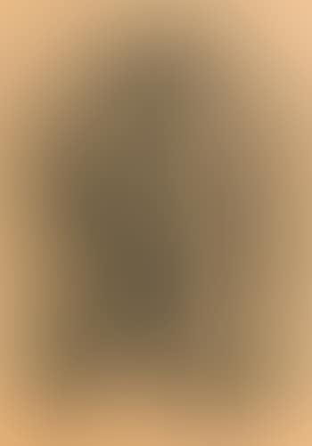 Untitled (Pinneaples) ,
1948 (preview)