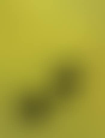 A Gold Book IX ,
1957 (preview)