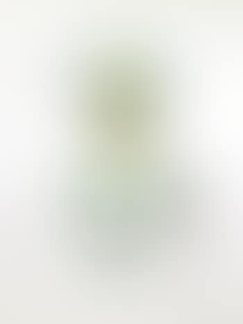Viola Cogitans (self portrait pansy) ,
1968 (preview)