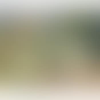 Untitled (Scene de Campagne) , (preview)