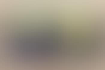 Composition ,
1973 (preview)