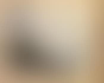 Valti , (preview)
