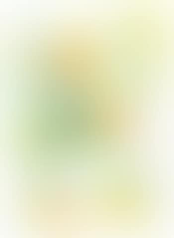 Bouquet de fleurs oranges et jaunes , (preview)